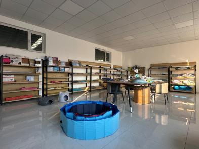 LINYI TUOHAI showroom display, view 1