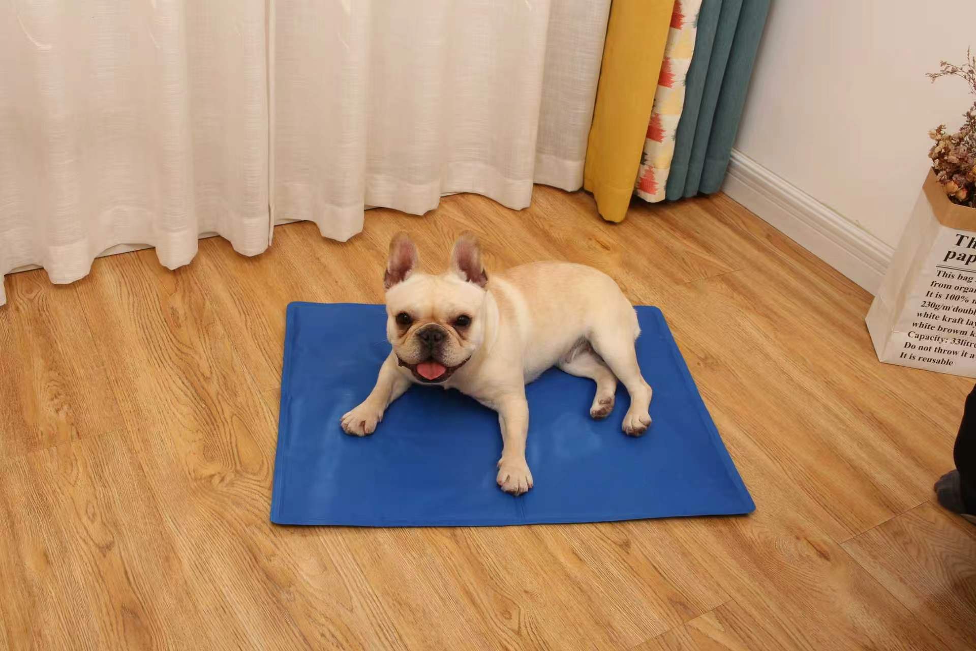 Pet product range