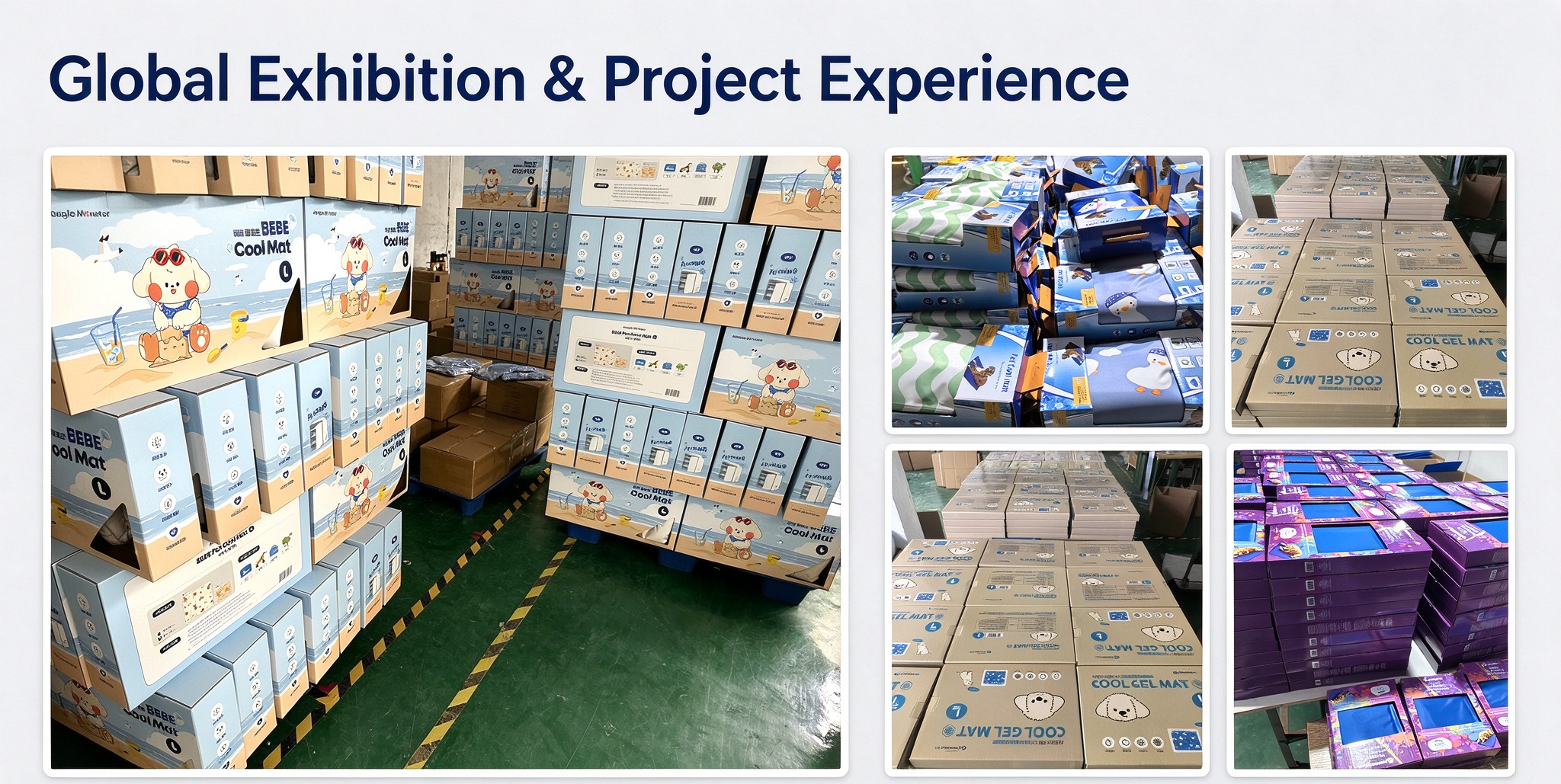 Pet product project experience, first view