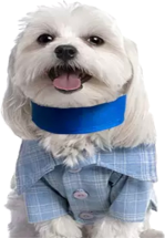 Pet gel cooling collar — view 5